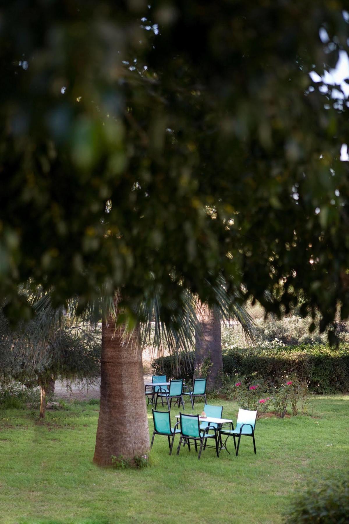 Villa Life Agia Marina  ภายนอก รูปภาพ